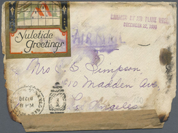 Br Katastrophenpost: USA: 1930, Crash Mail From Long Island/N.Y. To Los Angeles With Violet Two-liner " - Sonstige & Ohne Zuordnung