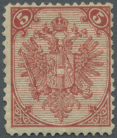 * Bosnien Und Herzegowina: 1879. Wappenzeichnung 5 Kreuzer Rot, Steindruck Mit Der Seltenen Linien-MIS - Bosnia And Herzegovina