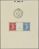 ** Frankreich: 1927, Blockausgabe 'Ausstellung Strasbourg' (110 X 139 Mm) Mit Ausstellungs-Sonderstempe - Gebruikt