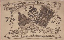 Scherpenheuvel Gedenkenis Uit Souvenir De Montaigue - Scherpenheuvel-Zichem