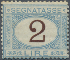 * Italien - Portomarken: 1870, 2l. Blue/brown, Fresh Colour, Slightly Uneven Perfs At Top, Mint O.g. W - Strafport