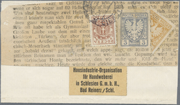 Brfst Polen: 1919, Piece Of Newspaper Franked With 3 H Large Eagle, 3 H Small Eagle And Diagonal Bisected - Lettres & Documents