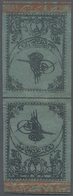 * Türkei: 1863, 2 Pia. Blue Tete-beche Pair With Red Border, Second Print On Thin Paper, Mint Hinged W - Lettres & Documents