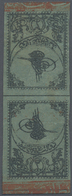 * Türkei: 1863, 2 Pia. Blue Tete-beche Pair With Red Border, Second Print On Thin Paper, Mint Hinged W - Covers & Documents