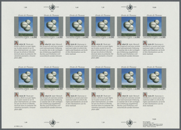 ** Vereinte Nationen - Genf: 1993. Bogen Mit 4 Ungezähnten 6er-Blöcken (3 Marken + 3 Zierfelder) Für De - Unused Stamps