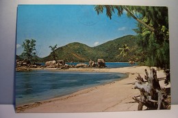 SEYCHELLES - Anse Boudin , Praslin  - ( Pas De Reflet Sur L'original ) - Seychelles