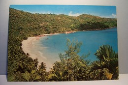 SEYCHELLES - Anse Lazio , Praslin  - ( Pas De Reflet Sur L'original ) - Seychelles