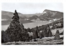 La Vallée De Joux Et La Dent De Vaulion (carte Grand Format) - Vaulion