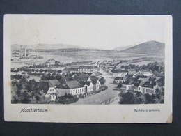 AK MOOSBIERBAUM Atzenbrugg Ca.1920  ////  D*29853 - Tulln