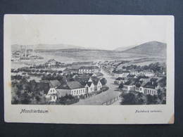 Delcampe - AK MOOSBIERBAUM Atzenbrugg Ca.1920  ////  D*29853 - Tulln