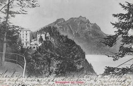 BÜRGENSTOCK → Die Hotels Mit Dem Pilatus ANNO 1906 - Sonstige & Ohne Zuordnung