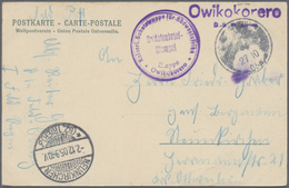 Deutsch-Südwestafrika - Stempel: 1905, Violetter Wanderstempel "Owikokorero" Klar Auf Feldpost-Ansic - Deutsch-Südwestafrika