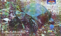 Télécarte INDONESIE * TURTLE *   (2247)  PHONECARD  * TORTUE *  TELEFONKARTE * SCHILDKRÖTE - Schildkröten