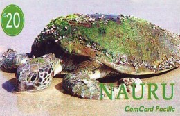 Télécarte * NAURU * TURTLE (2279)  PHONECARD * TORTUE * TELEFONKARTE * SCHILDKRÖTE - Schildpadden