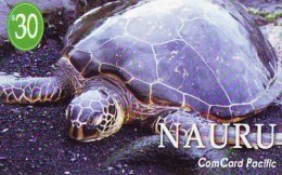 Télécarte * NAURU * TURTLE (2280)  PHONECARD * TORTUE * TELEFONKARTE * SCHILDKRÖTE - Schildpadden