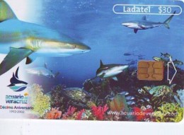 Télécarte à Puce MEXICO -  SHARK (2291) TORTUE - TURTLE Chip Phonecard - SCHILDKRÖTE * TELEFONKARTE - Tortues