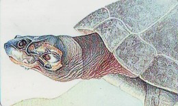 Télécarte à Puce VENEZUELA - Animal (2286) TORTUE - TURTLE Chip Phonecard - SCHILDKRÖTE - Schildpadden