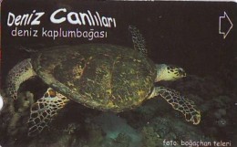 Télécarte à TURKEY  (2303) TORTUE - TURTLE * Phonecard - SCHILDKRÖTE * TELEFONKARTE - Turtles