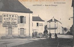 Santenay     21        Route De Chassagne. Hôtel Du Lion D'Or      (voir Scan) - Andere & Zonder Classificatie