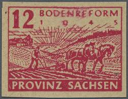 ** Sowjetische Zone - Provinz Sachsen: 1945, Bodenreform 12 Pf., Geschnitten Mit Druck Auf Der Gummisei - Altri & Non Classificati