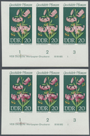 ** DDR: 1969, Geschützte Heimische Pflanzen 20 Pf. 'Türkenbund (Lilium Martagon)' In 5 Verschiedenen Un - Altri & Non Classificati