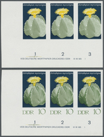 ** DDR: 1970, Kakteen 10 Pf. 'Bischofsmütze (Astrophytum Myriostigma)' In 4 Verschiedenen Ungezähnten W - Sonstige & Ohne Zuordnung