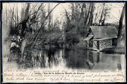 LARDY - VUE DE LA JUINE AU MOULIN DE GOUJON - ANIMATION - 1905 - Lardy