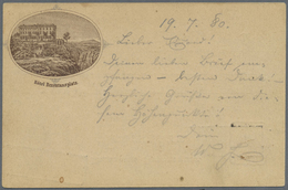 GA Ansichtskarten: Vorläufer: 1880, HEXENTANZPLATZ Hotel, Vorläuferkarte 5 Pf. Lila Als Privatganzsache - Ohne Zuordnung
