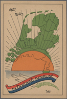 Ansichtskarten: Politik / Politics: NIEDERLANDE Ab 1945, Ungefähr 160 Propagandakarten Mit Zahlreich - Personnages
