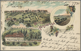 Ansichtskarten: Baden-Württemberg: STUTTGART-LAND (alte PLZ 701-705), 10 Historische Ansichtskarten, - Autres & Non Classés