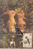 BIRDS, HOOPOE, MAXIMUM CARD, 1993, ROMANIA - Specht- & Bartvögel