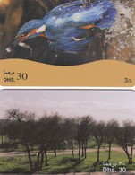 11556 N°. 2 CARDS EMIRATI ARABI UNITI - USATE - Emirati Arabi Uniti