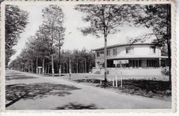 Delcampe - De Dennen Fotokaart R. Centurm - Kasterlee