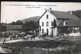 88, Granges Sur Volognes, Ferme De Blanchefeigne Un Jour De Fenaison - Granges Sur Vologne