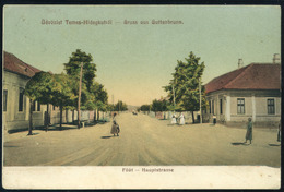 HUNGARY ROMANIA  TEMESHIDEGKÚT Ca 1910 Vintage Picture Postcard - Hongarije