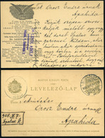 89280 BUDAPEST 1905. Lendl Adolf  1862-1934.bölcseleti Doktor, Zoologus. Sk, Magán Díjjegyes Lap Apahidára Küldve. Ritka - Used Stamps