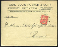 90012 BUDAPEST 1909. Posner Céges Levél, Céglyukasztásos Bélyeggel - Used Stamps