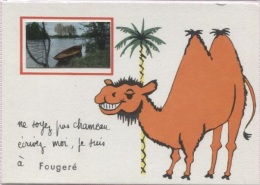 CPSM - ILLUSTRATION DE PREISSAC - Thème ANIMAL Chameau - Vue De FOUGERE - Edition F.L. - Preissac