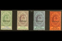 1903 "SPECIMEN" Opt'd High Values, 2s To £1, SG 52s/56s, Fine Mint (4 Stamps) For More Images, Please Visit Http://www.s - Gibilterra