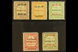 OCCUPATION OF PALESTINE 1948 Postage Due Set, Perf 12, Complete, SG PD25/9, Very Fine And Fresh Mint. (5 Stamps) For Mor - Jordan