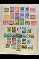 1953-1976 MINT & NHM COLLECTION. A Delightful Mint & Never Hinged Mint Collection Of Complete Sets & Miniature Sheets Pr - Seychelles (...-1976)