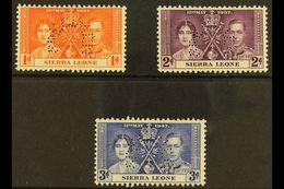 1937 Coronation Complete Set Perforated "SPECIMEN", SG 185s/187s, Very Fine Mint. (3 Stamps) For More Images, Please Vis - Sierra Leone (...-1960)