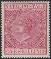NATAL 1874 5s Carmine, Wmk CC, SG 73, Very Fine And Fresh Mint. For More Images, Please Visit Http://www.sandafayre.com/ - Unclassified