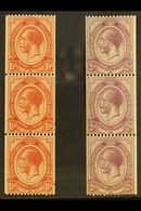 1913-24 KGV 1½d And 2d Perf 14ximperf Coil Stamps (SG 20/21) In Never Hinged Mint Vertical Strips Of Three. (2 Strips =  - Non Classificati