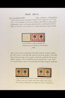 1926-51 SIXPENCE ORANGE TREE ISSUES STUDY COLLECTION - Very Well Written Up On Pages, With 1926-7 Imperforate COLOUR TRI - Non Classificati