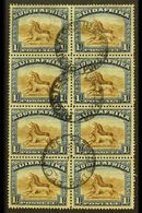 1927-30 1s Brown And Deep Blue, Perf 14 X 13½, A Vertical Block Of Eight With Neat Registered Port Elizabeth Cds's For M - Unclassified