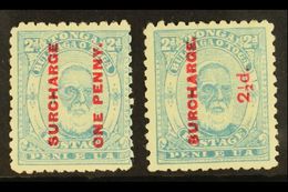 1895 1d On 2d Pale Blue & 2½d On 2d Pale Blue, SG 25, 27, Mint (2) For More Images, Please Visit Http://www.sandafayre.c - Tonga (...-1970)