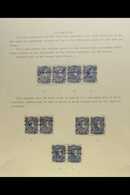 1879 SCARCE "ESCULAS" PLATING STUDY 1879 Second "Esculas" Issue 10c Blue And 10c Deep Blue, Continuously Overprinted In  - Venezuela