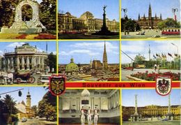 Souvenir Aus Wien - 401 - Formato Grande Viaggiata – E 4 - Belvedere