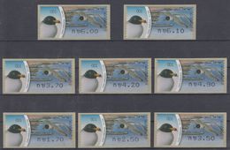 ISRAEL 2010 KLUSSENDORF ATM BIRD LARUS ICHTHYAETUS SEA PALLAS'S GULL FULL SET OF 8 STAMPS - Viñetas De Franqueo (Frama)